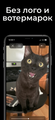 Скриншот приложения Tik видео загрузчик - №3