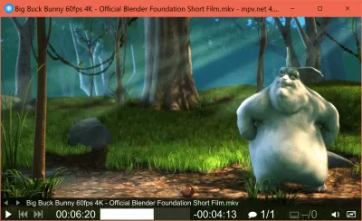 Скриншот приложения mpv.net - №3