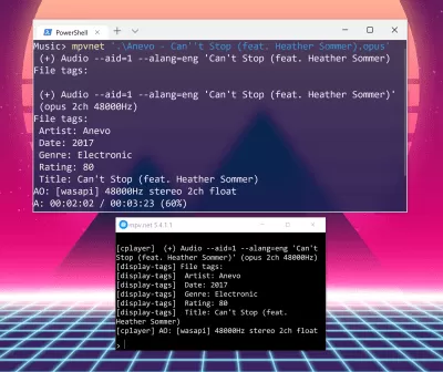 Скриншот приложения mpv.net - №5