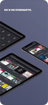 Скриншот приложения Аудиокниги от Патефон - №9