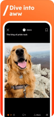 Скриншот приложения Reddit для iOS - №4