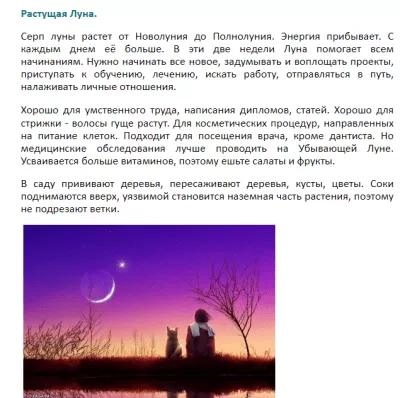 Скриншот приложения DailyMoon. Лунный астрологический календарь - №5