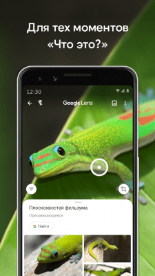 Скриншот приложения Google Объектив - №7