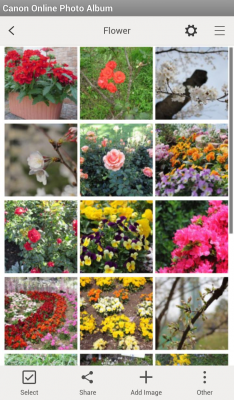 Скриншот приложения Canon Online Photo Album - №4
