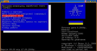 Скриншот приложения Бухгалтерия iceB - №4