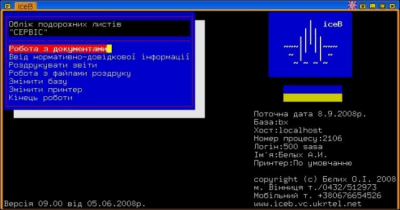 Скриншот приложения Бухгалтерия iceB - №9