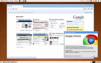 Скриншот приложения Google Chrome Linux - №1