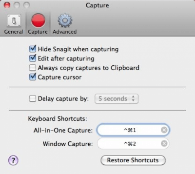 Скриншот приложения SnagIt для Mac - №2