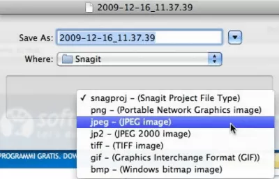 Скриншот приложения SnagIt для Mac - №3