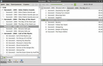 Скриншот приложения Foobnix - №4
