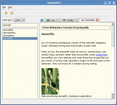 Скриншот приложения GoldenDict - №12