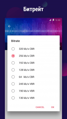 Скриншот приложения Видео в MP3 конвертер - №3