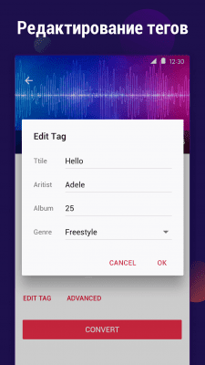 Скриншот приложения Видео в MP3 конвертер - №4