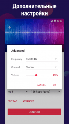 Скриншот приложения Видео в MP3 конвертер - №5
