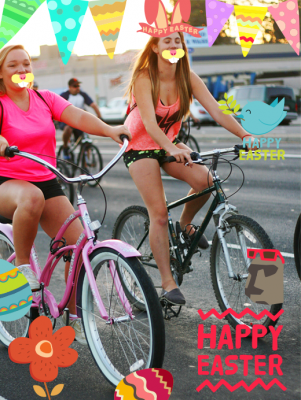 Скриншот приложения Eggcellent-Photo Grid Plugin - №4