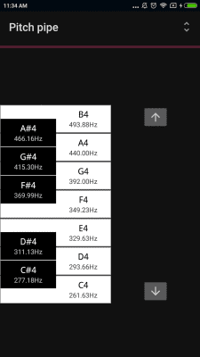 Скриншот приложения CarlTune - хроматический тюнер - №7