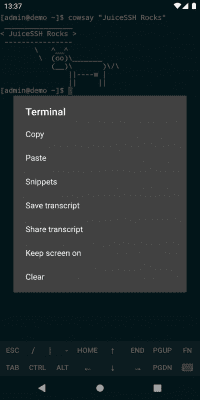 Скриншот приложения JuiceSSH - SSH Client - №8