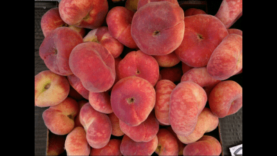 Скриншот приложения Full Screen Pic Picture Viewer - №5