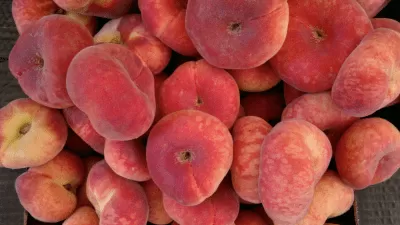 Скриншот приложения Full Screen Pic Picture Viewer - №6