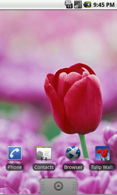 Скриншот приложения Tulip Wallpapers - №4