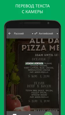 Скриншот приложения Переводчик и словарь PROMT.One - №3