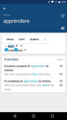 Скриншот приложения Italian English Dictionary - №2