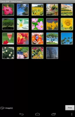 Скриншот приложения Canon Easy-PhotoPrint - №6