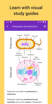 Скриншот приложения Socratic by Google - №5