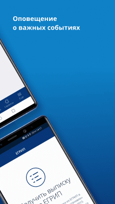 Скриншот приложения Личный кабинет предпринимателя - №5