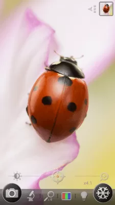 Скриншот приложения Лупа и микроскоп - №3