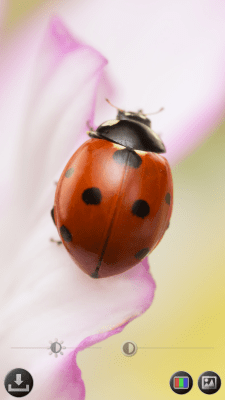 Скриншот приложения Лупа и микроскоп - №5