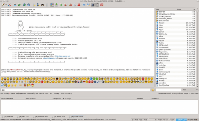 Скриншот приложения EiskaltDC++ - №1