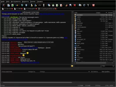 Скриншот приложения EiskaltDC++ - №5
