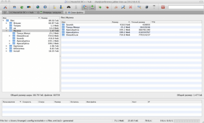 Скриншот приложения EiskaltDC++ - №11