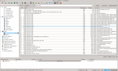 Скриншот приложения EiskaltDC++ - №4