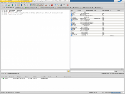 Скриншот приложения EiskaltDC++ - №19