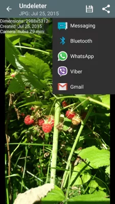 Скриншот приложения Undeleter - Восстанови Файлы - №4