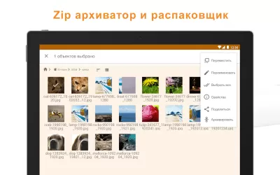 Скриншот приложения ASTRO File Manager - №6