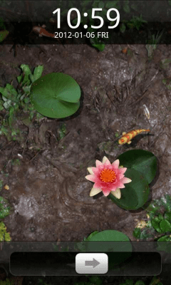 Скриншот приложения GO Locker Lucky Fishpond Theme - №3