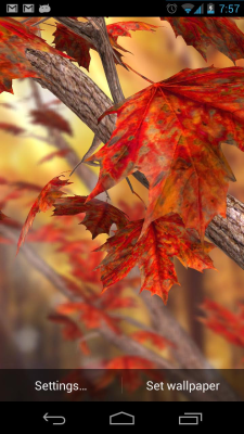 Скриншот приложения Autumn Tree Free Wallpaper - №1