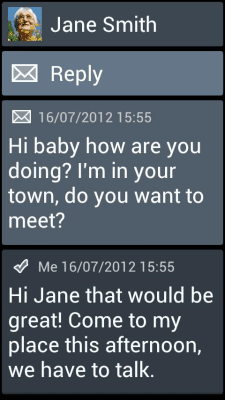 Скриншот приложения BL Steel Theme - №3