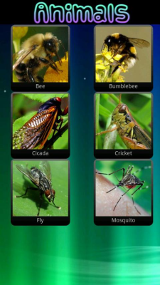 Скриншот приложения Звуки животных для детей - №4