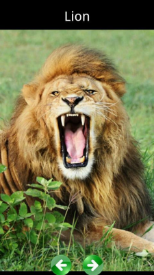 Скриншот приложения Звуки животных для детей - №6