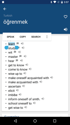 Скриншот приложения Turkish English Dictionary - №1