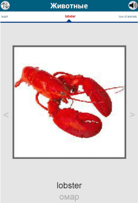 Скриншот приложения 50 языков - 50 languages - №6