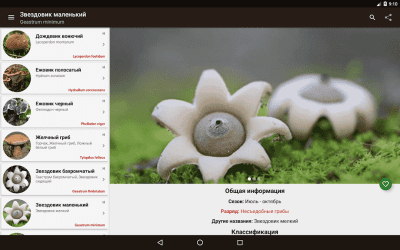 Скриншот приложения Справочник грибника - №9