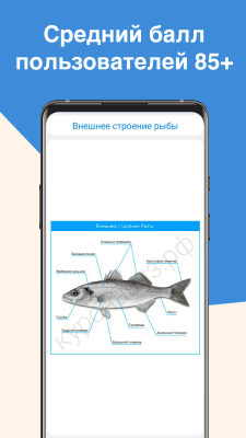 Скриншот приложения ЕГЭ Биология - №3