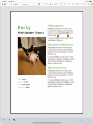 Скриншот приложения Collabora Office для iOS - №5