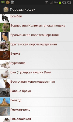 Скриншот приложения Породы кошек - №2
