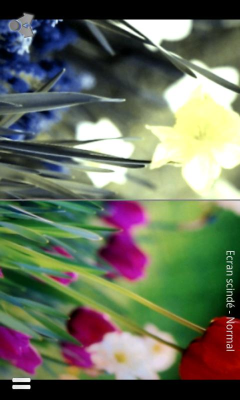 Скриншот приложения Dog vision - №3